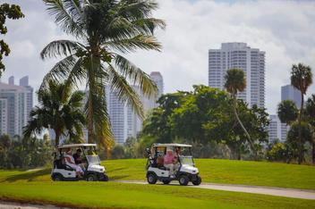 Does A Golf Cart Engine Run Backwards to Go in Reverse